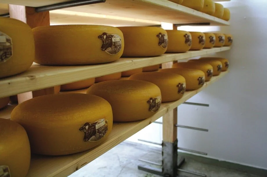 Jake's Gouda Cheese