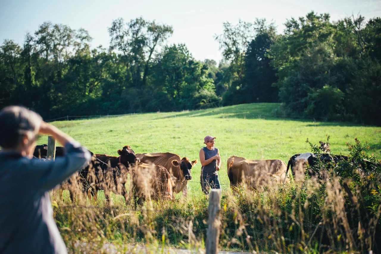 Farmer Hot Takes: Keeping Cheese Local at the Co-op