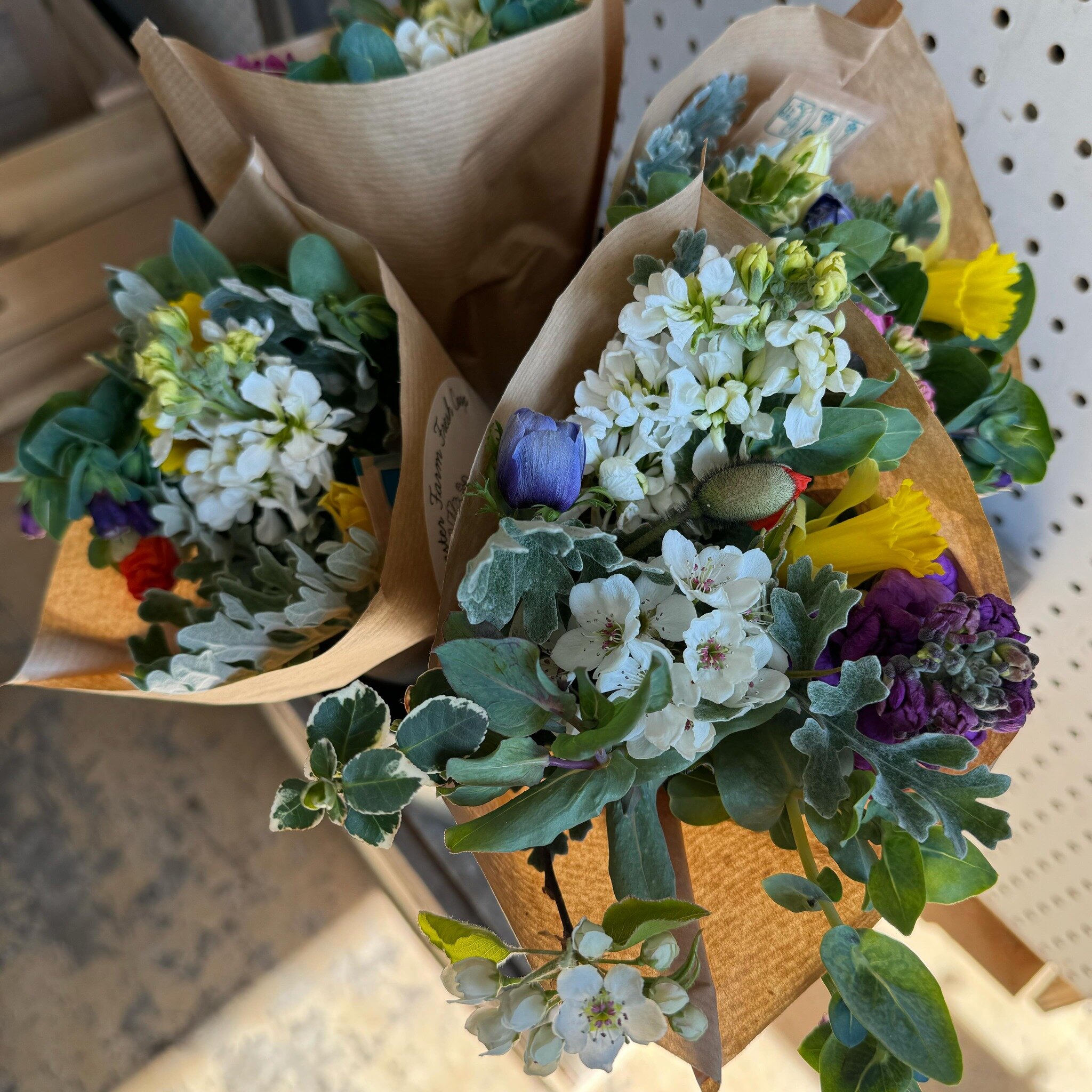 Spring is here! Whether it feels like it or not! Stop by the store today (open to all every Fri-Sun) and pick up a mini bouquet of beautiful local flowers from @lancasterfarmfresh 💐

[image: small white, yellow, blue, green, purple and red bouquets 