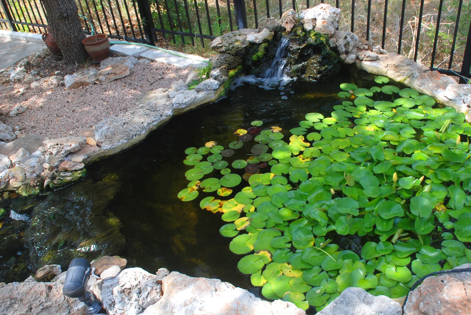 Oasis 4.jpg
