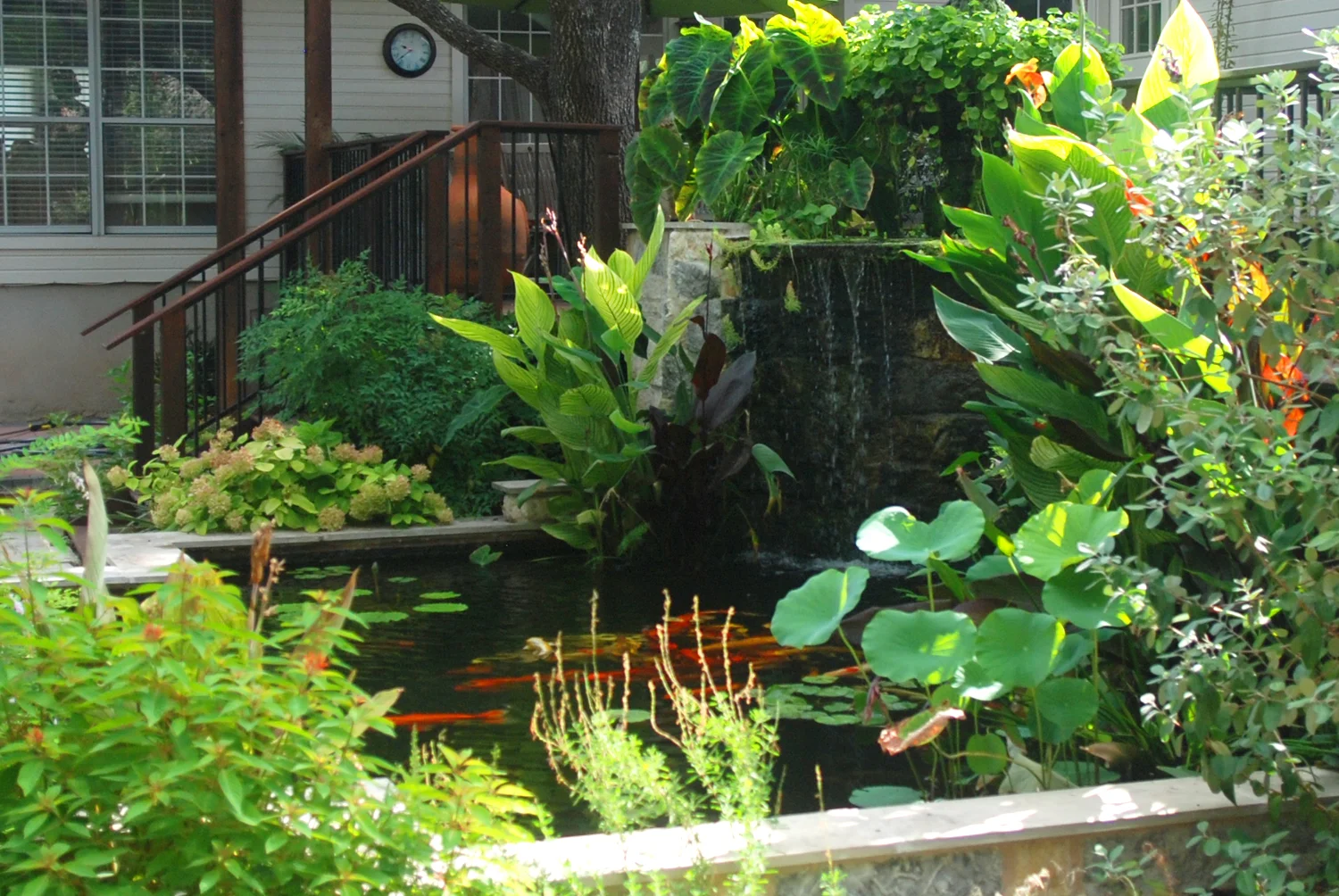 Formal Koi Pond 2.jpg