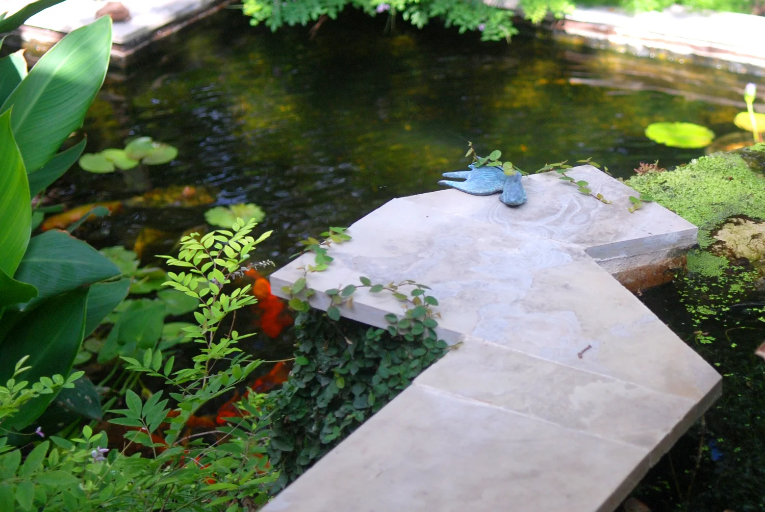 Formal Koi Pond 5.jpg