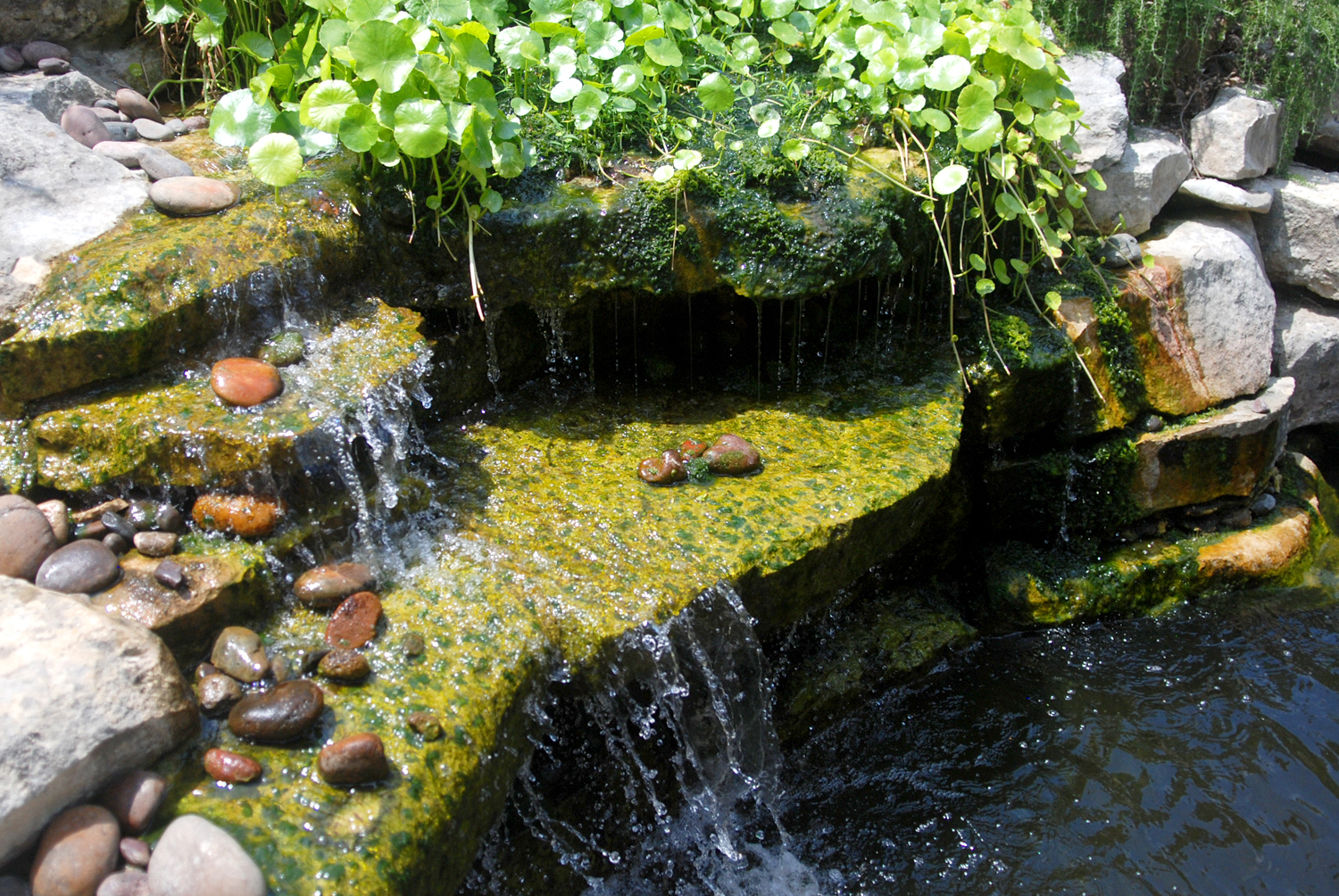 Versatile Koi Pond 6.jpg