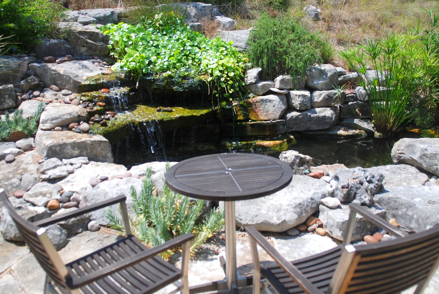 Versatile Koi Pond 4.jpg