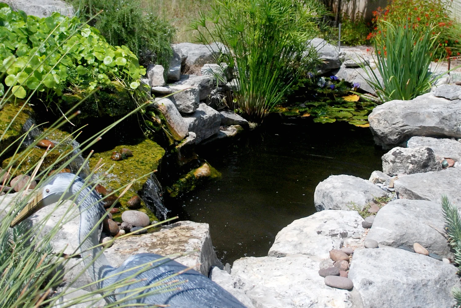 Versatile Koi Pond 2.jpg
