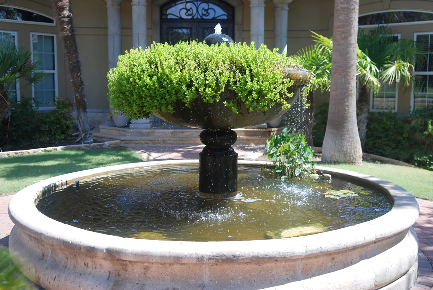 Fountains 1.jpg