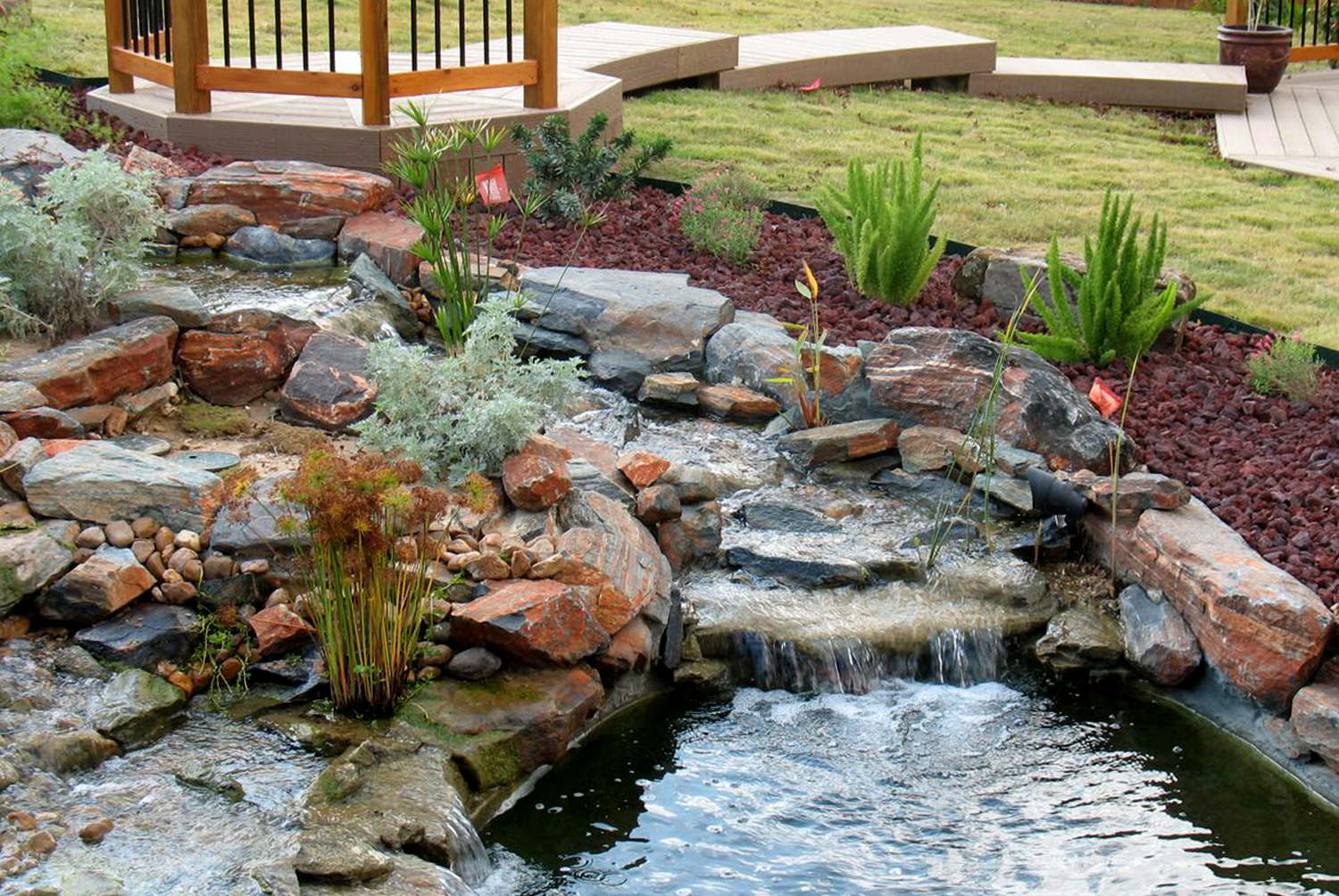 Award-Winning Koi Pond 3.jpg