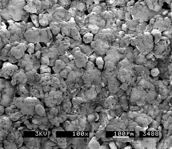 Product A SEM at 100x magnification