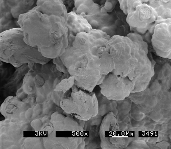 Product B PSC at 500x magnification