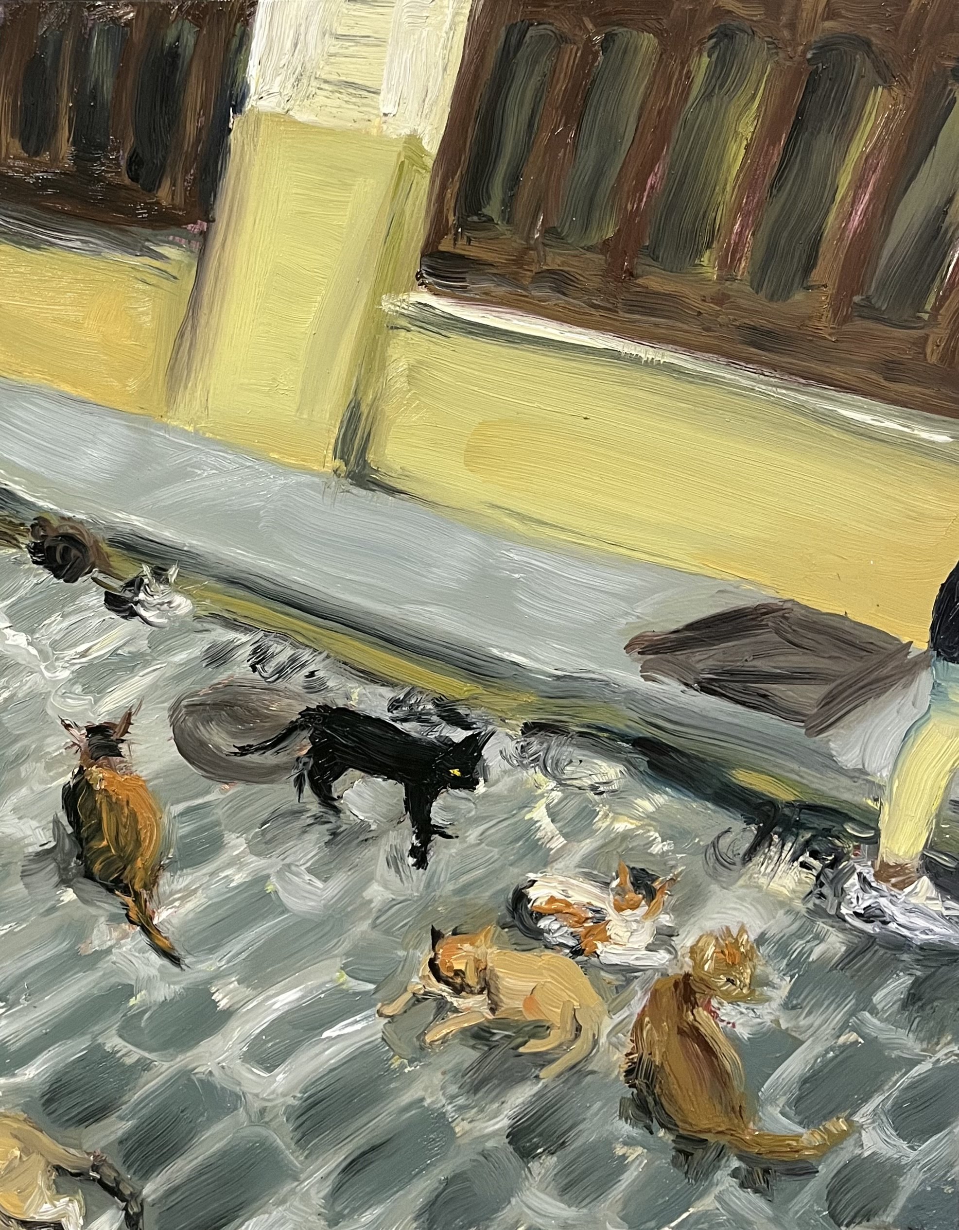 Cats in La Habana Vieja (2023) Oil and Acrylic on Panel, 9"x12"