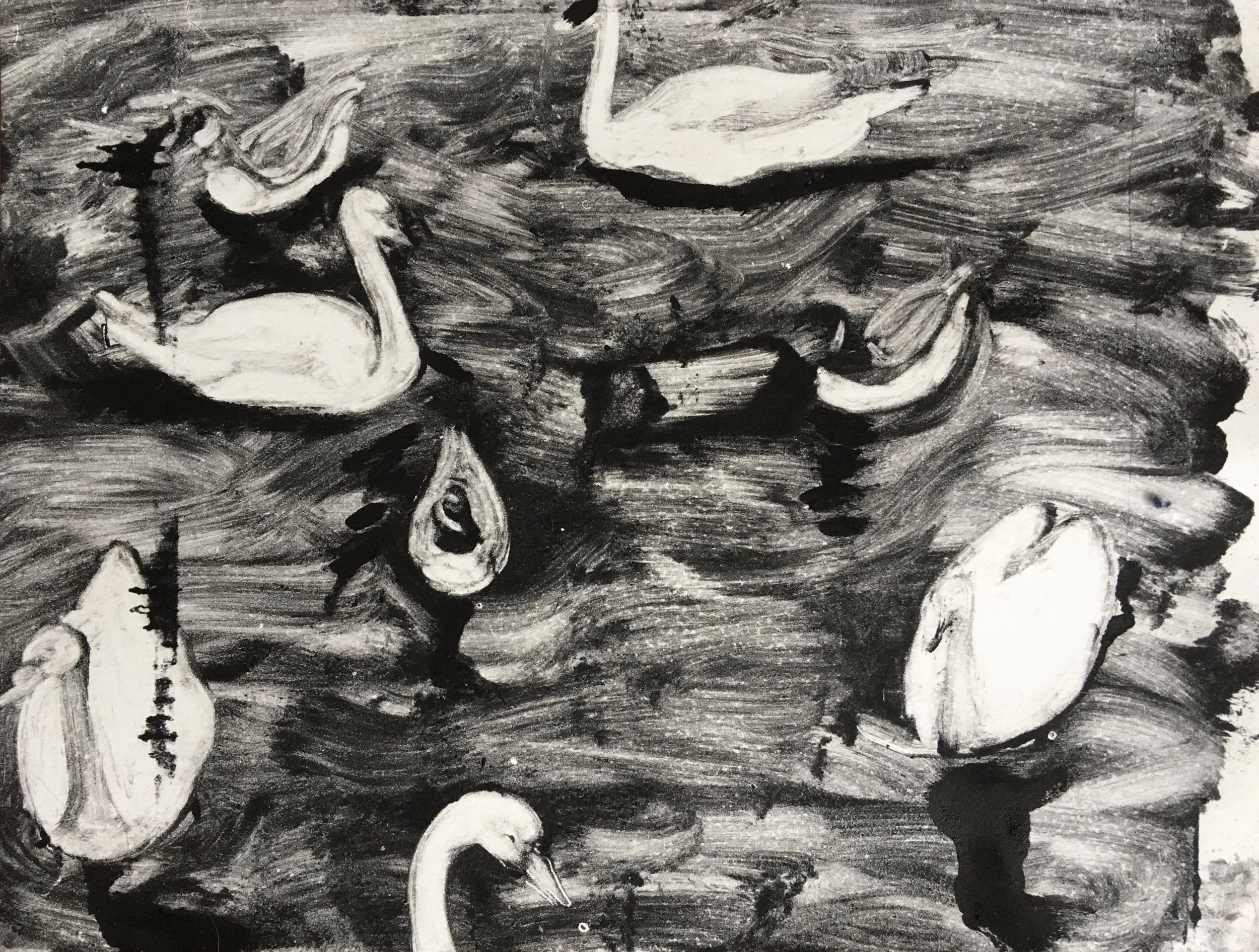 Swans at Brighton Beach II (2021) Monotype on Stonehenge, 12"x9"