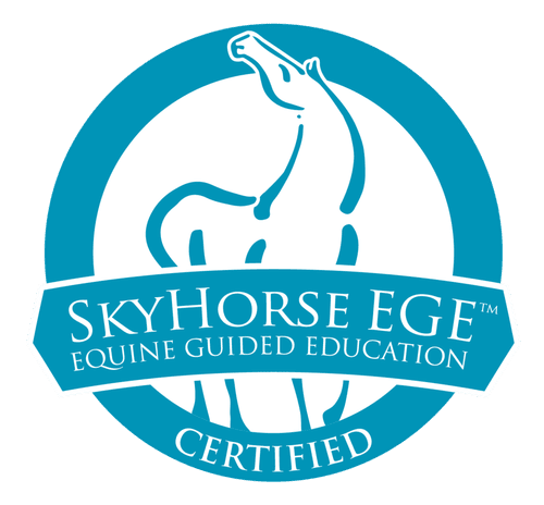 Equine Guided Education