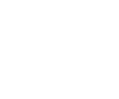 Operation Equine