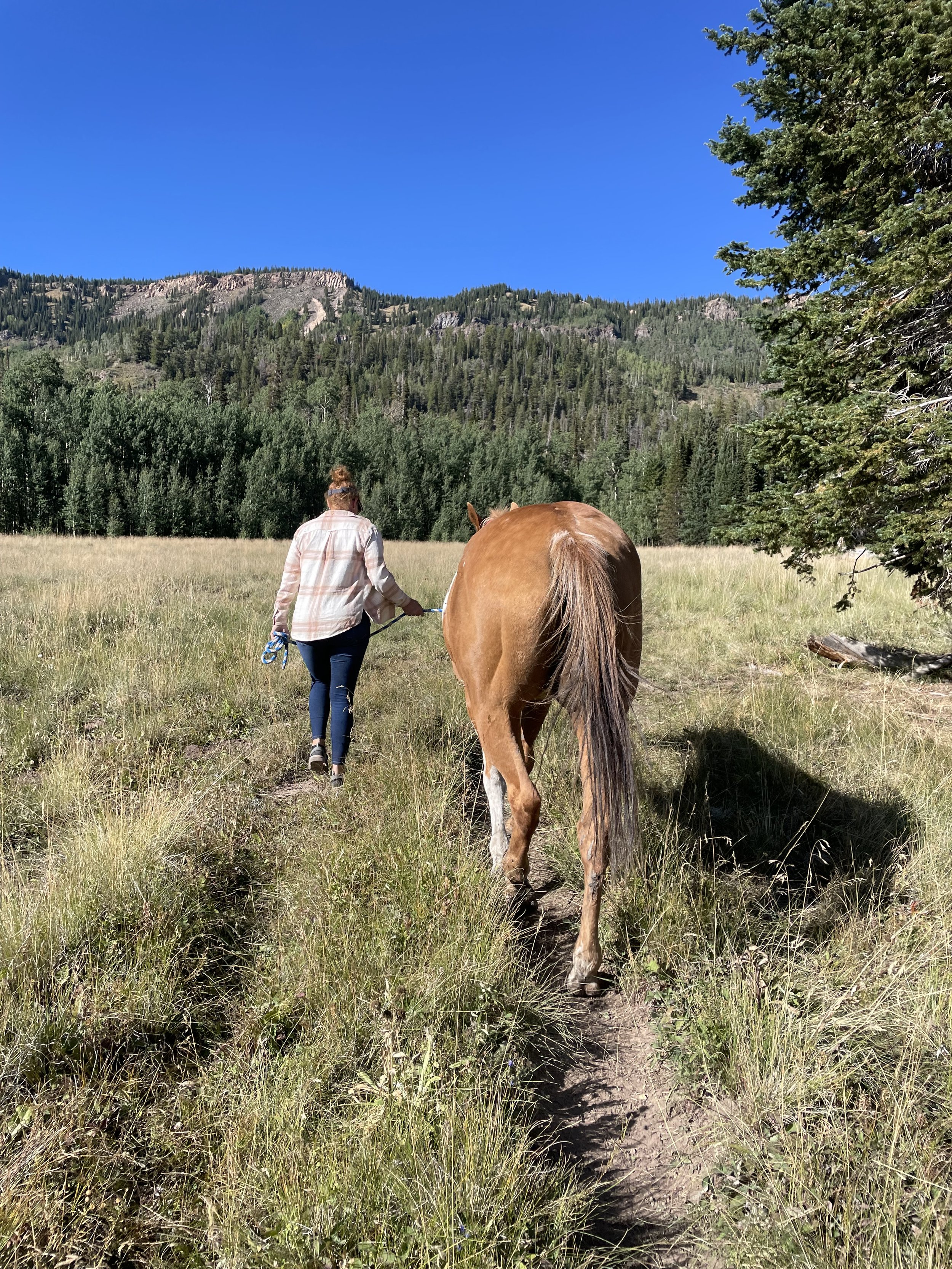 Rae leading a horse.jpeg