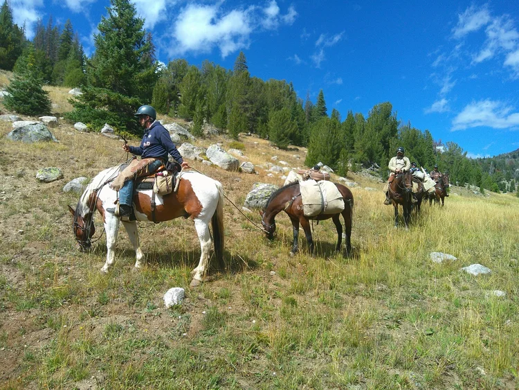 Rider leading pack horses