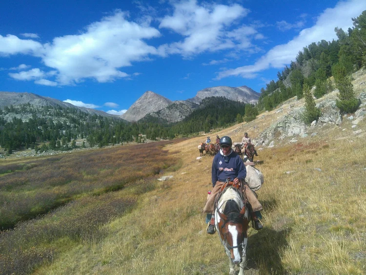 Horseback on the trail