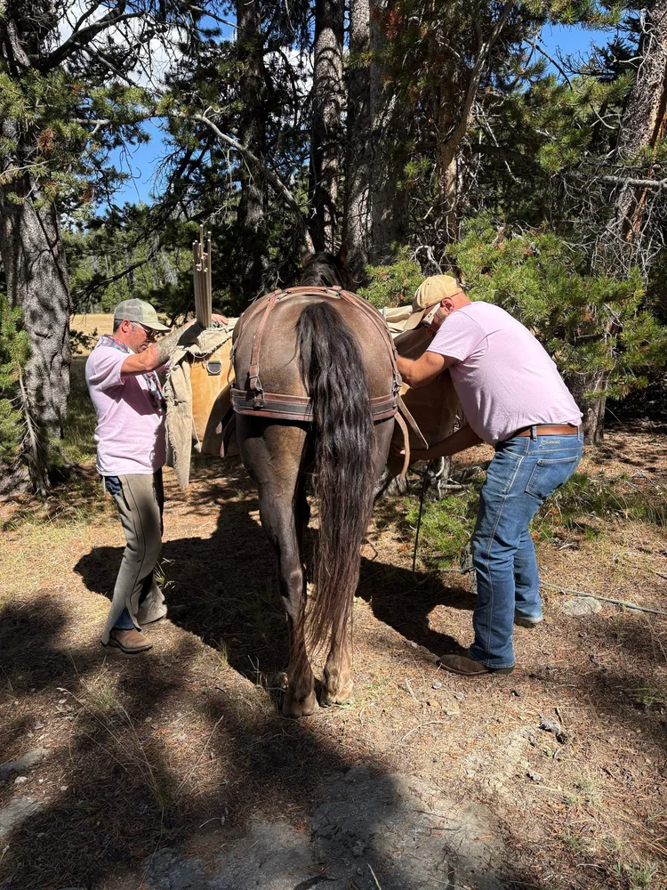 Horsepacking with Scuddy