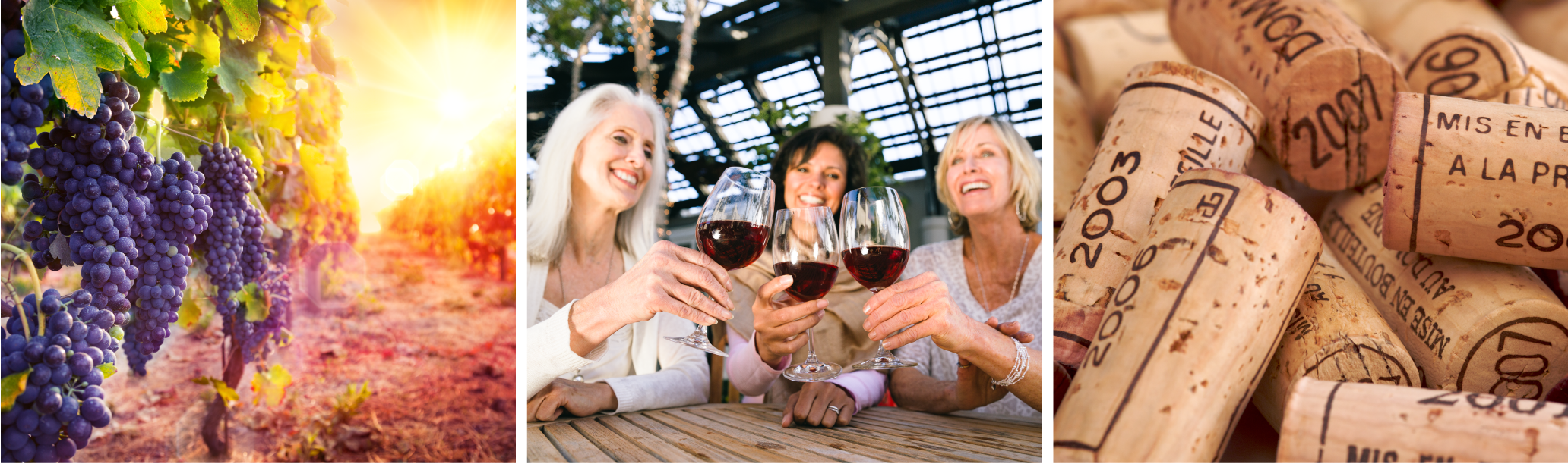 Winery-Banner.png