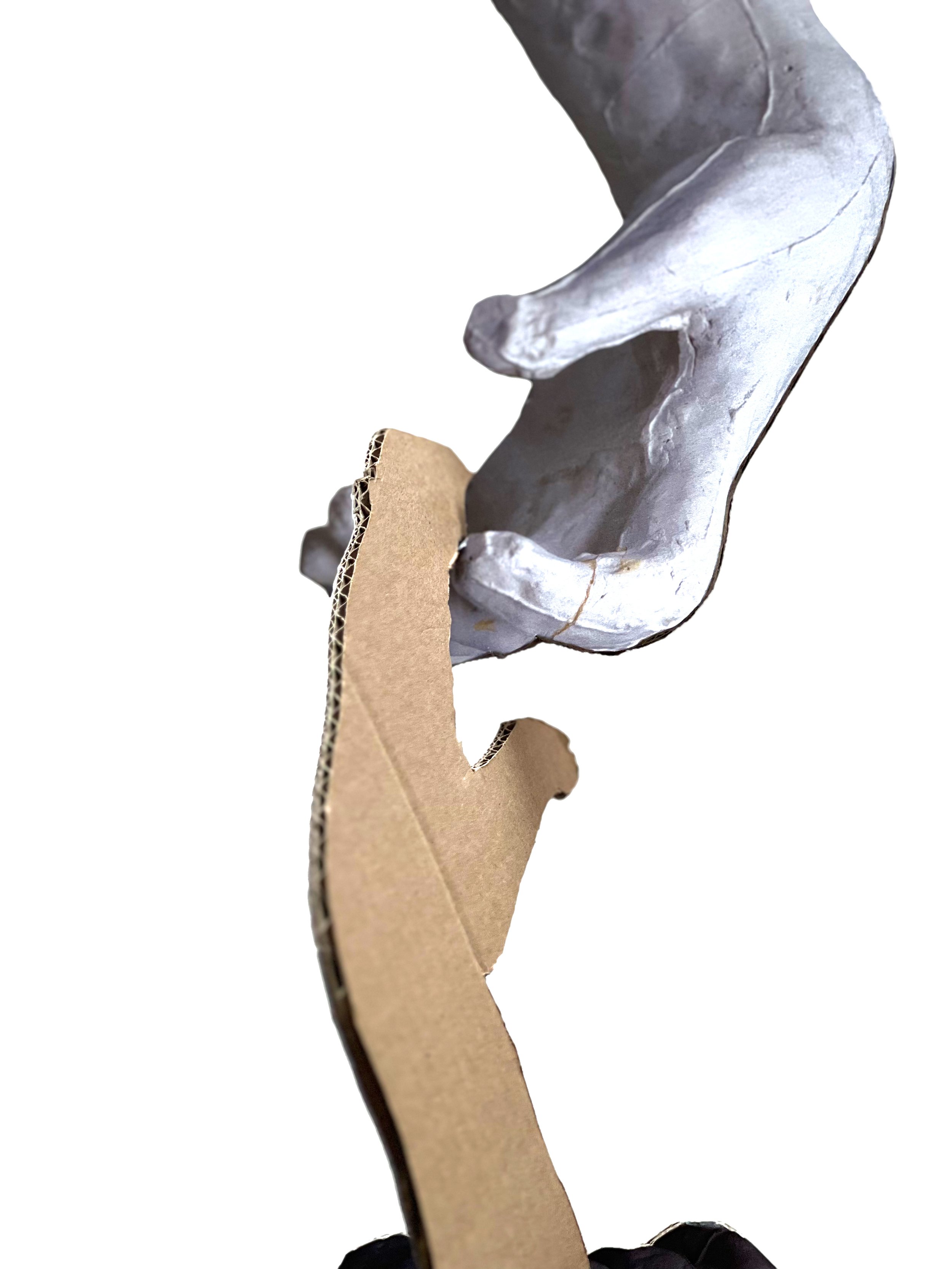 Detail 2.jpg