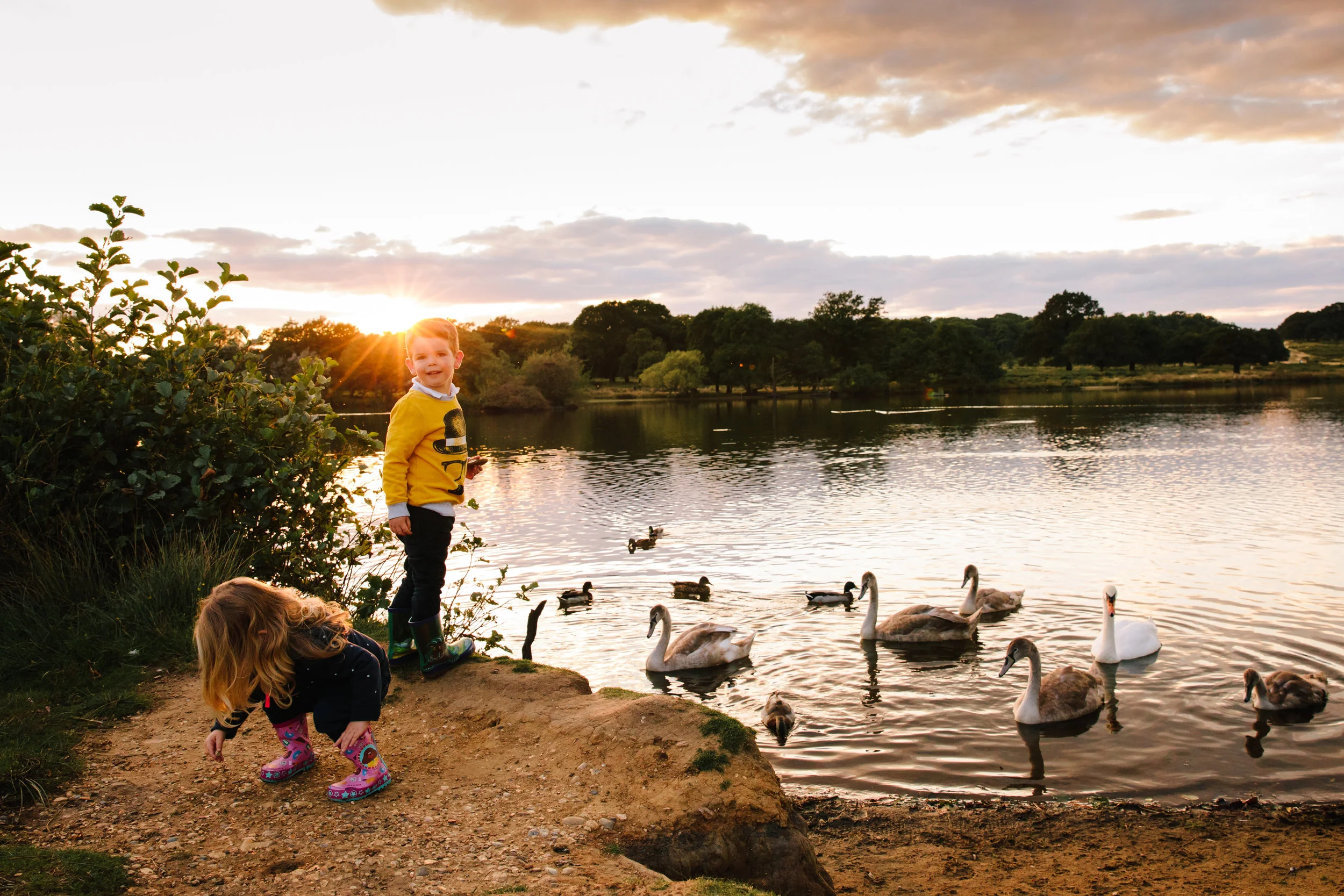 London photographer photoshoot with children in richmond park with swans