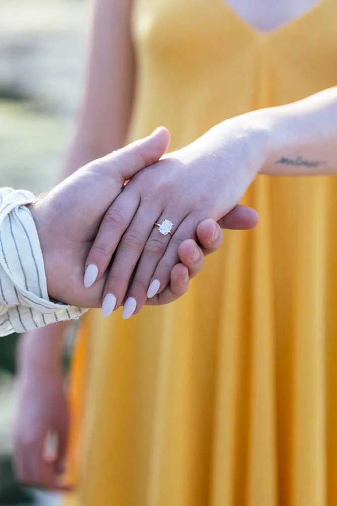 Engagement in Hyde Park