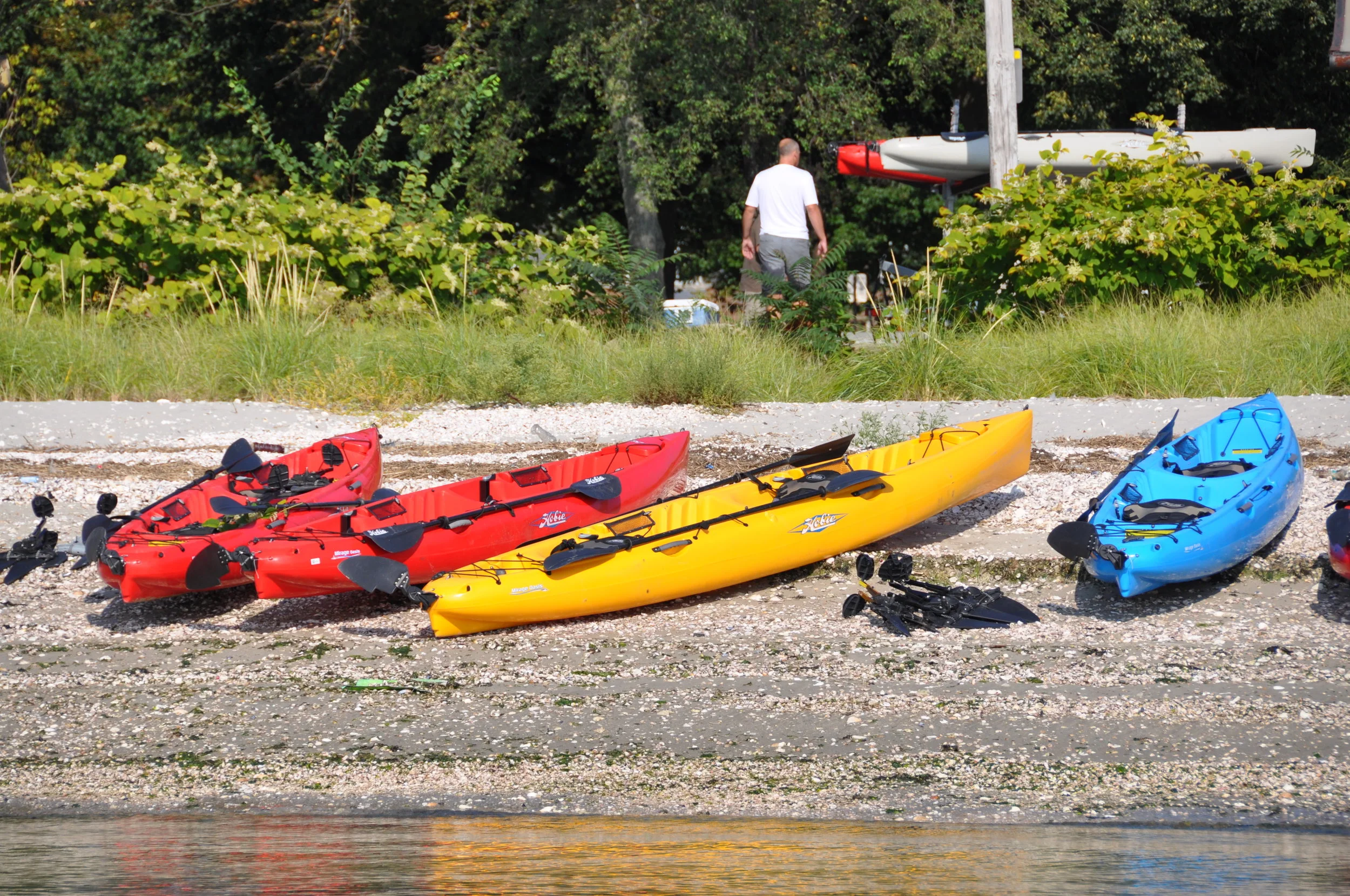 DSC_0847.jpg
