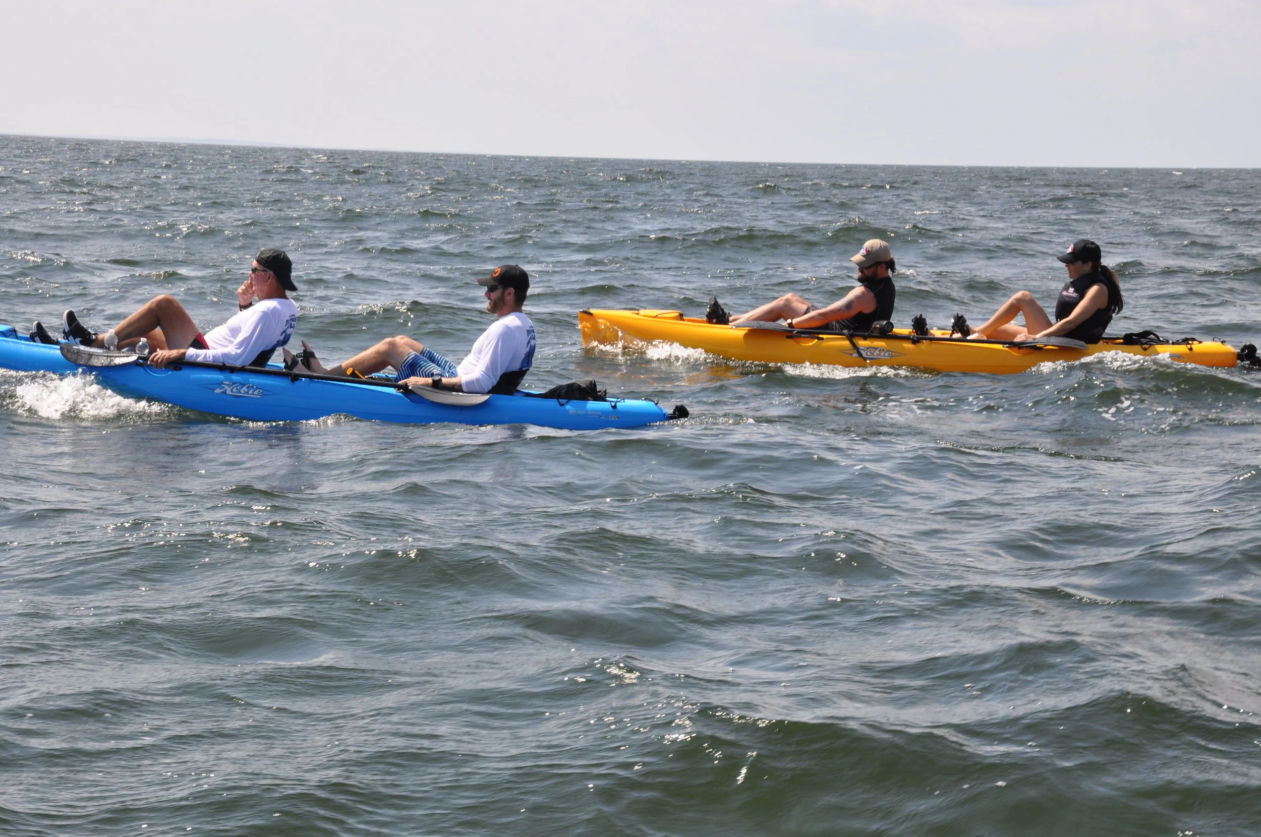 DSC_0905.jpg