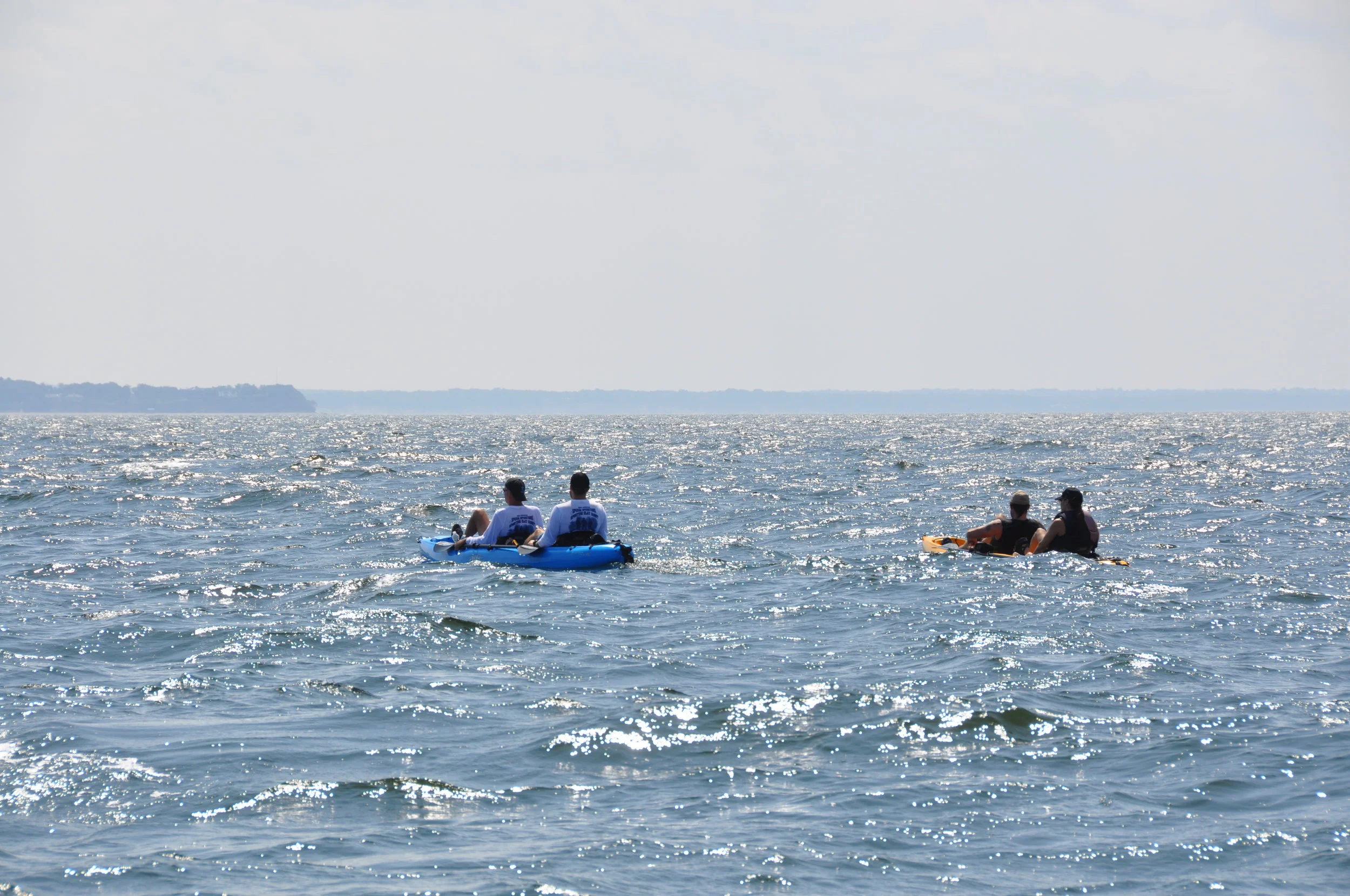 DSC_0914.jpg