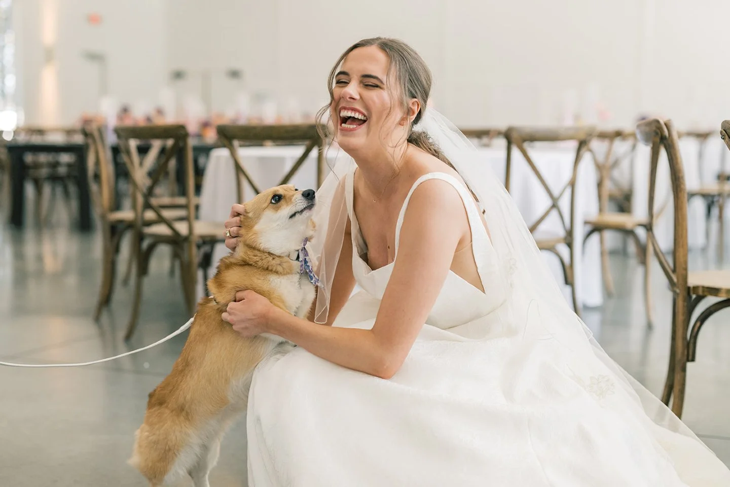 Who says you can't have glam and puppy snuggles? We kept our bride&rsquo;s look soft and easy so she could stay flawless while fully soaking up the chaos and fun. 🐾

Makeup: #LHNArtistMadie
Hair: #LHNArtistLauren

Photographer: @oliviabeyersphoto
We