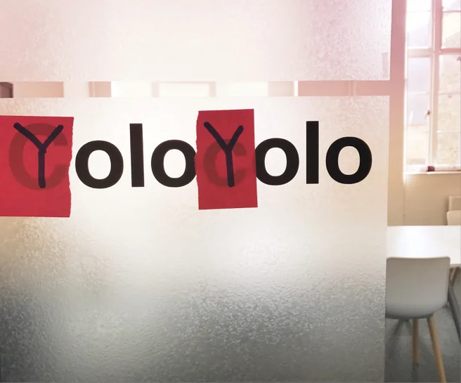 yolo.jpg