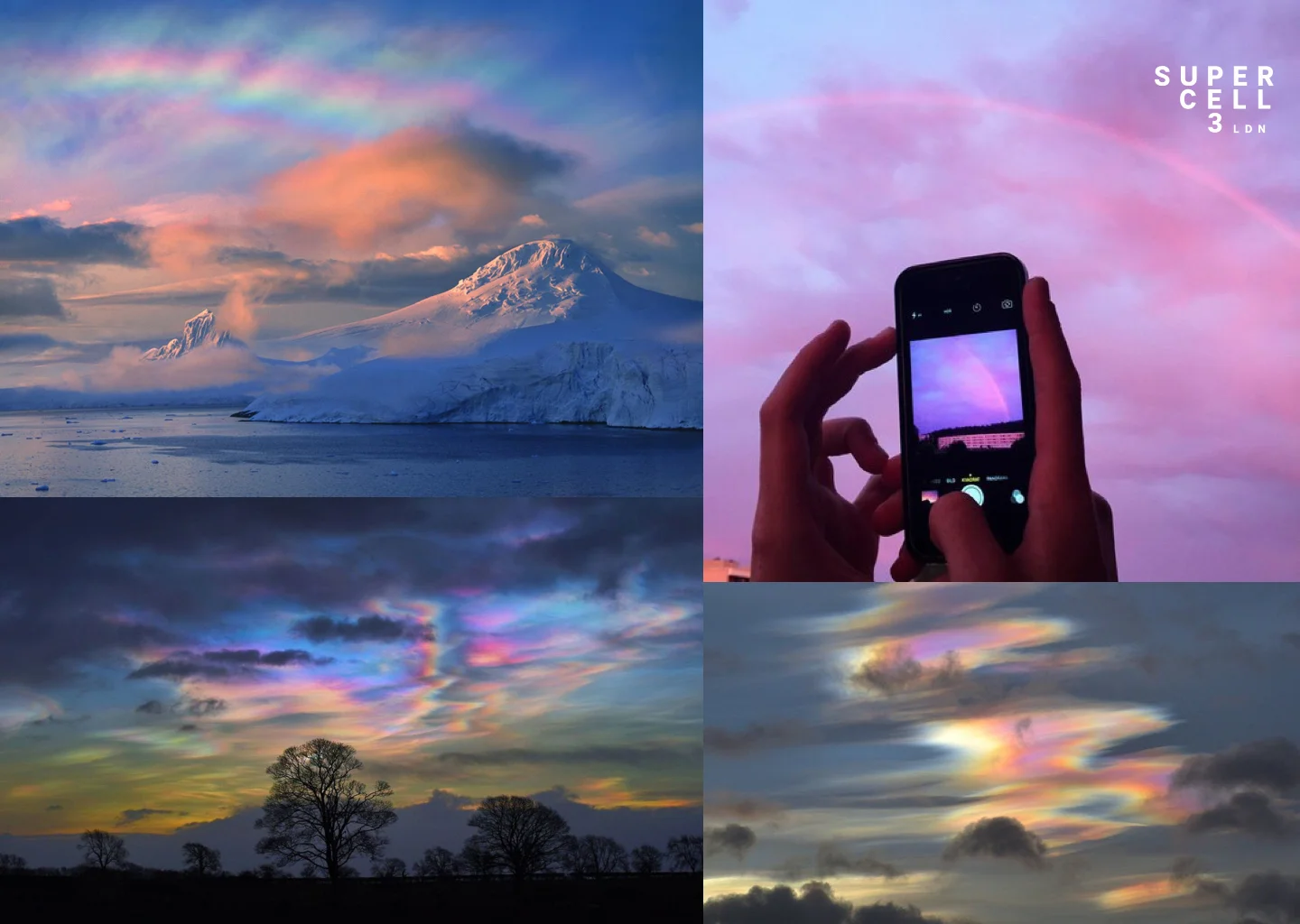 Concept: Iridescence Seasonal.jpg