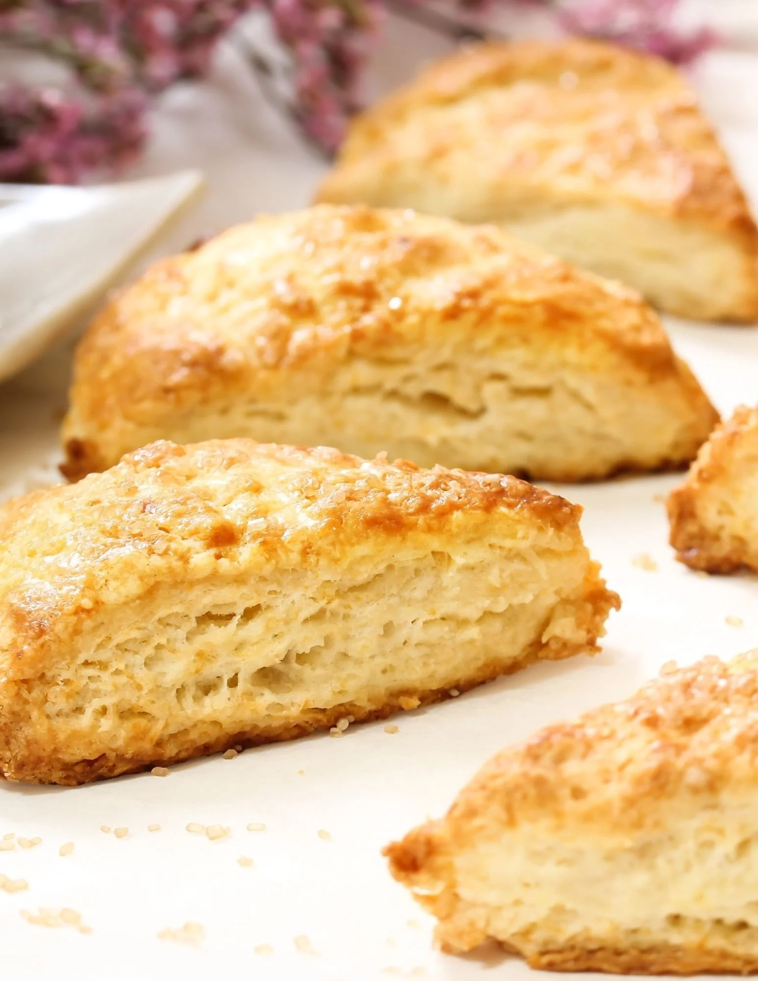 SCONE SECRETS - January 17, Saturday