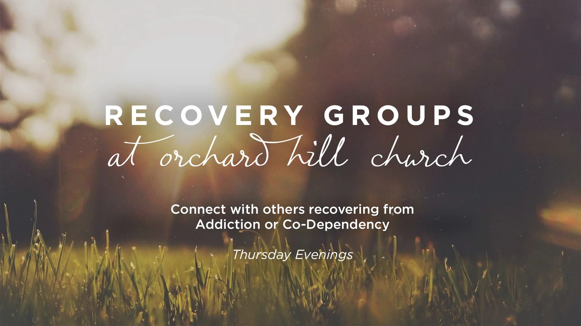 Care_Recovery Group.jpg