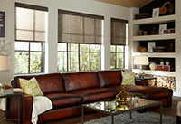 window-treatmnt_01.jpg
