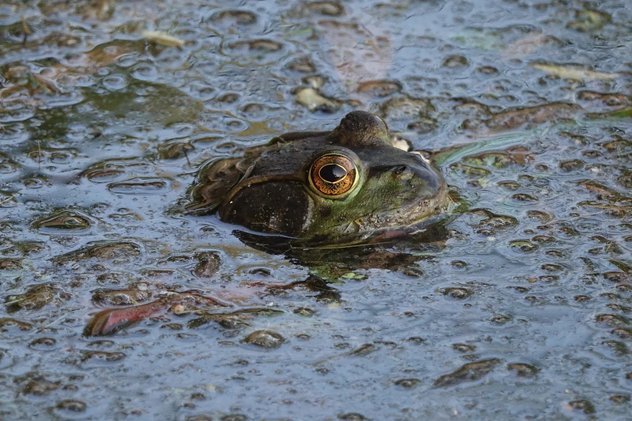 One Simple Step Everyone Can Take Right Now