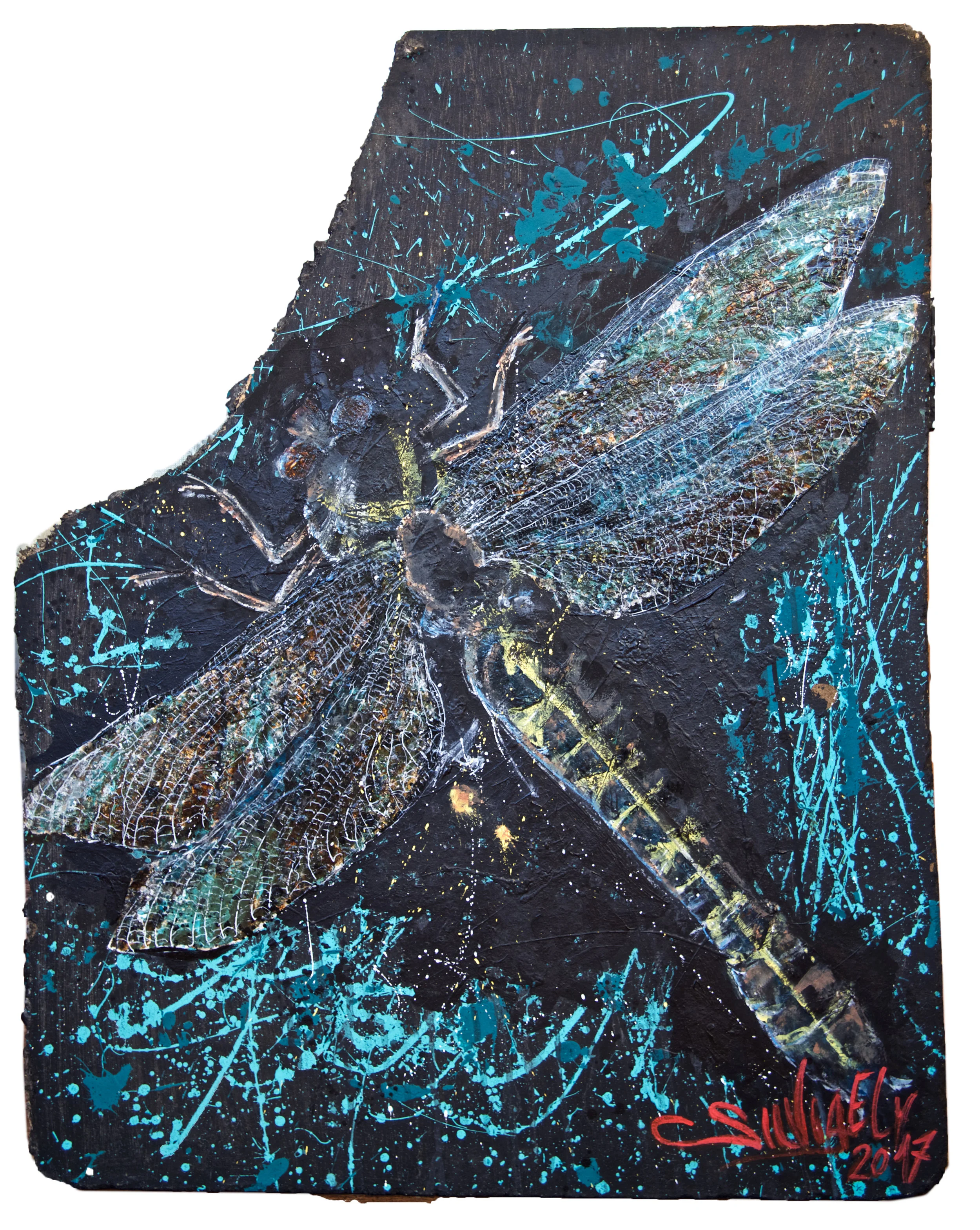 DRAGONFLY - private collection