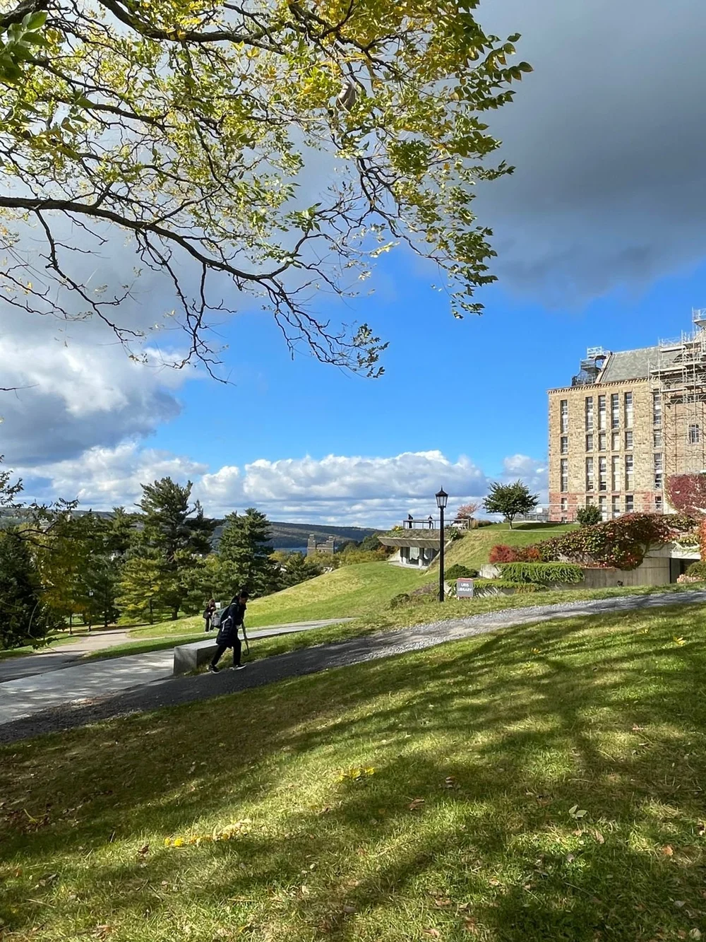 WhatsApp Image 2024-10-19 at 10.32.03 (1).jpeg