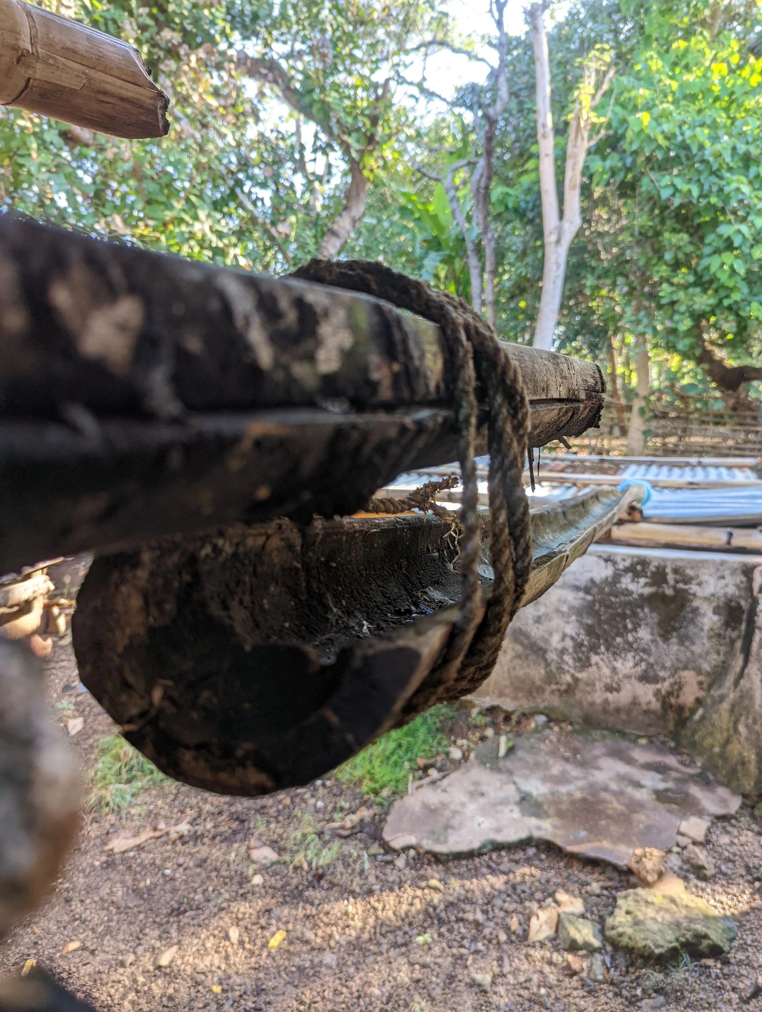 A rainwater capture system channeling water draining from an alang grass roof into a concrete cistern
