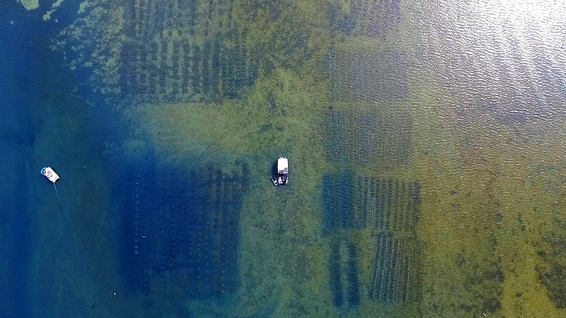oyster-farm-productions-ALX-03.jpg