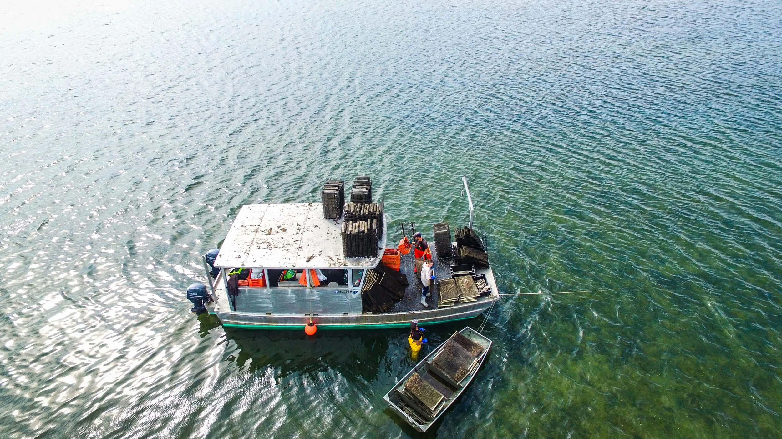 oyster-farm-productions-ALX-0017.jpg