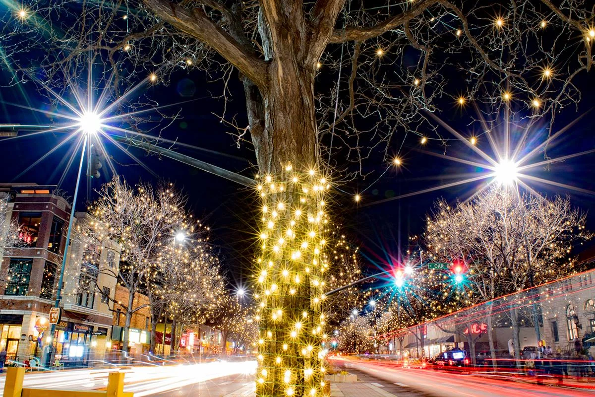 Downtown Fort Collins Holiday lights.jpg