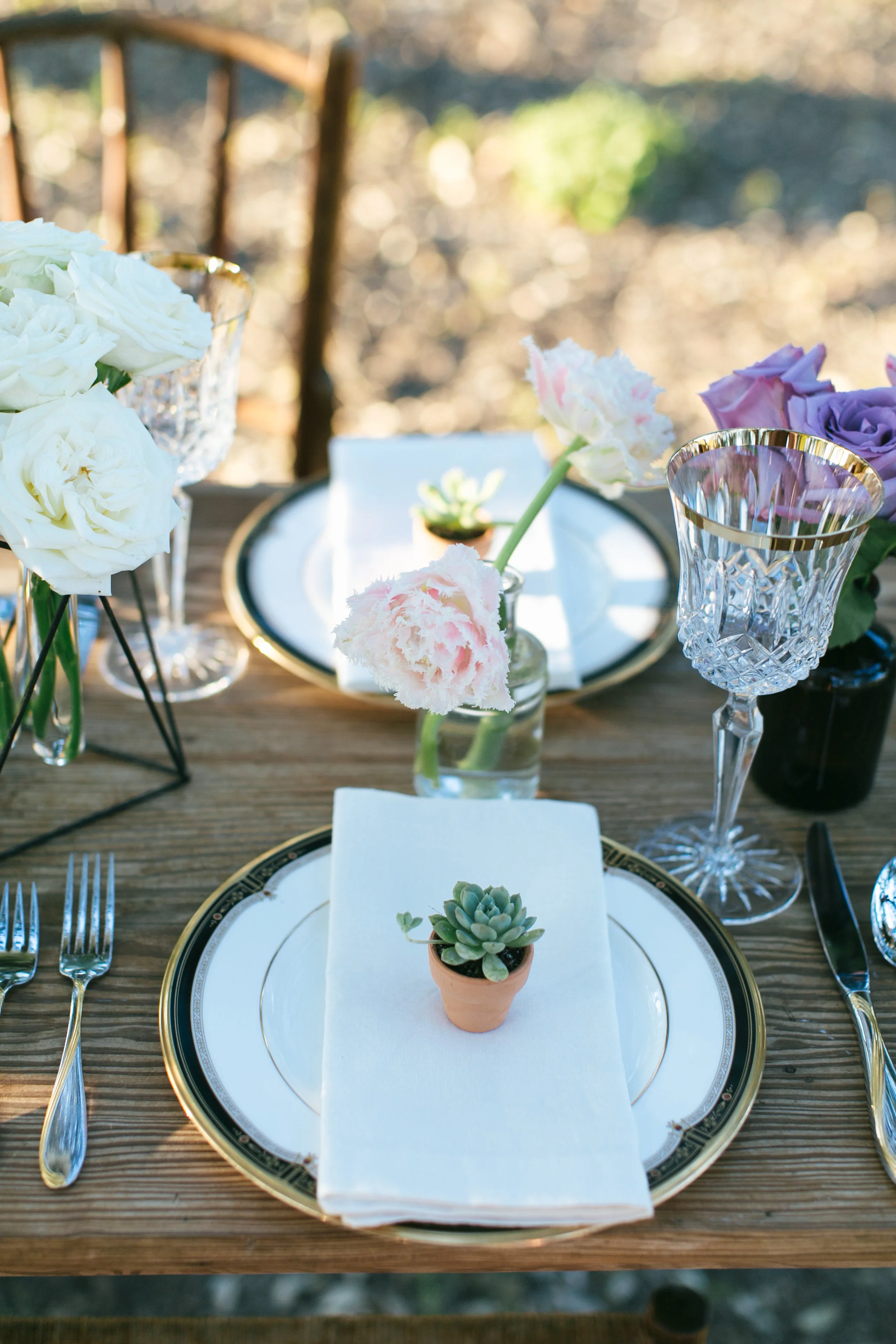 Agave Stylized Shoot {Part 2}-0035.jpg