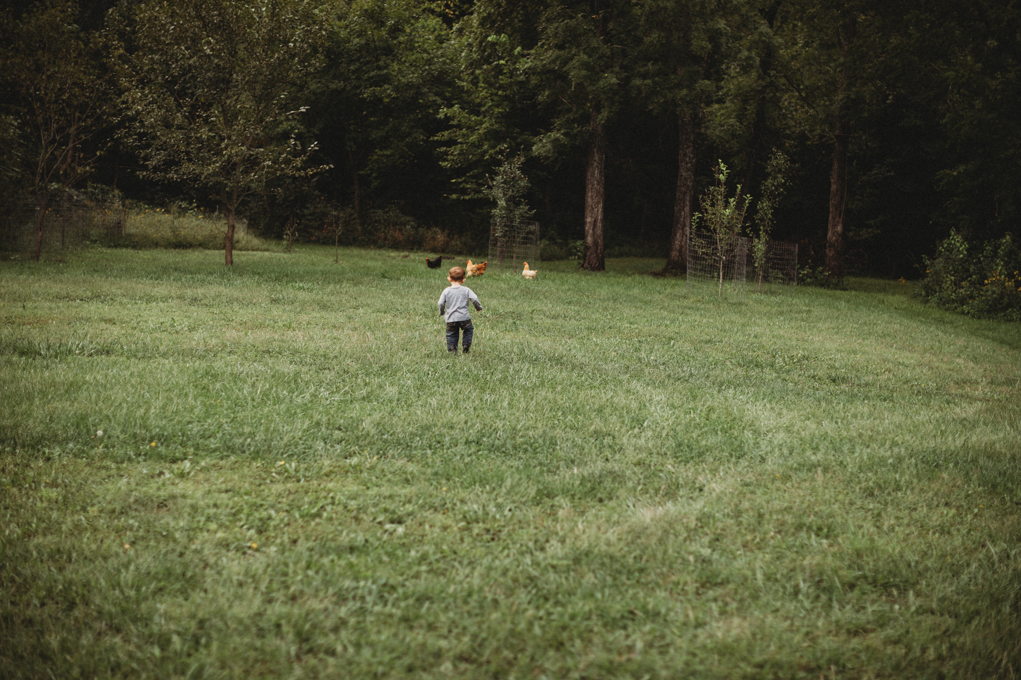 untitled-646.JPG