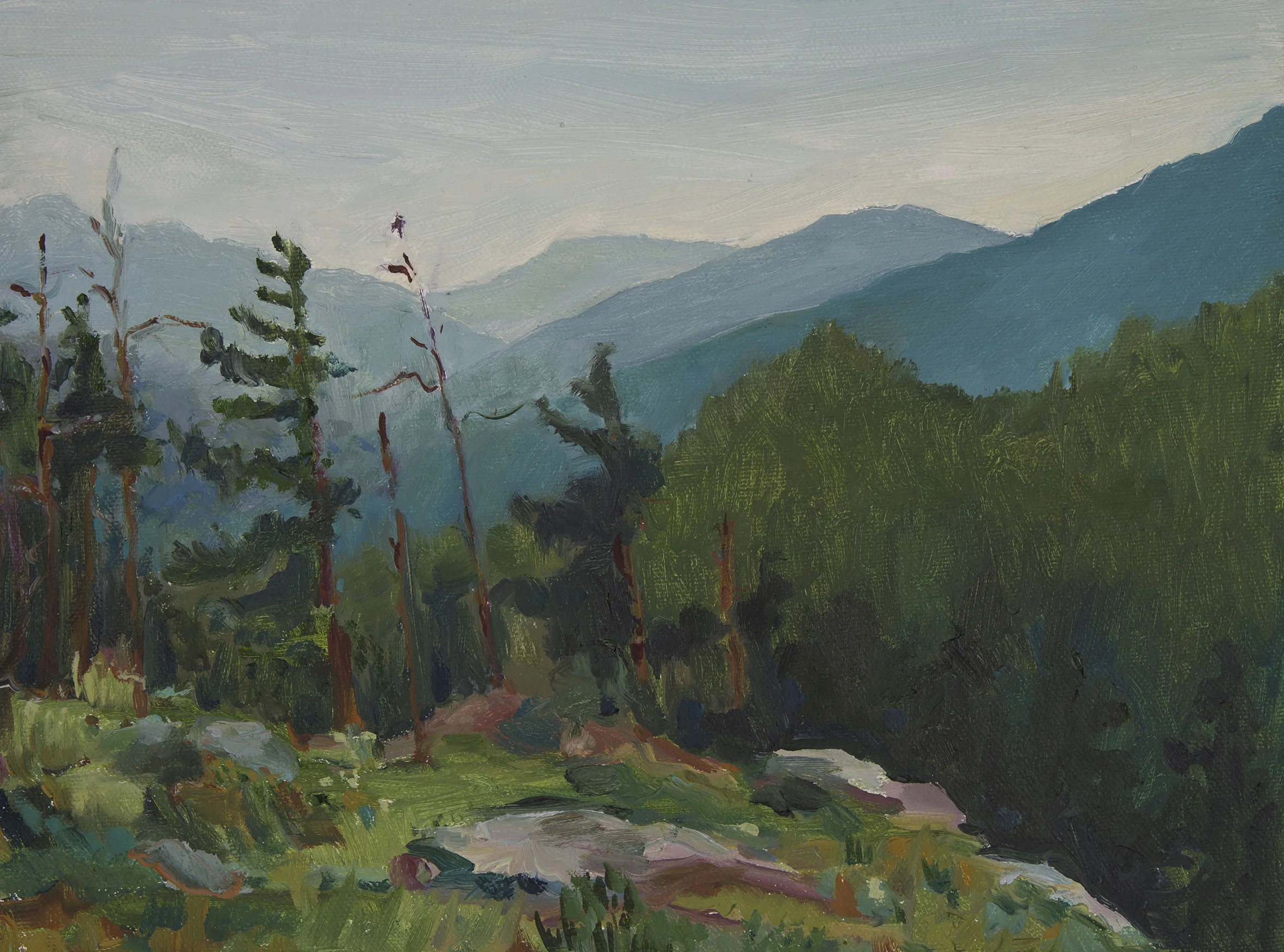 Looking East from Pitchoff Mountain Ridge, Study