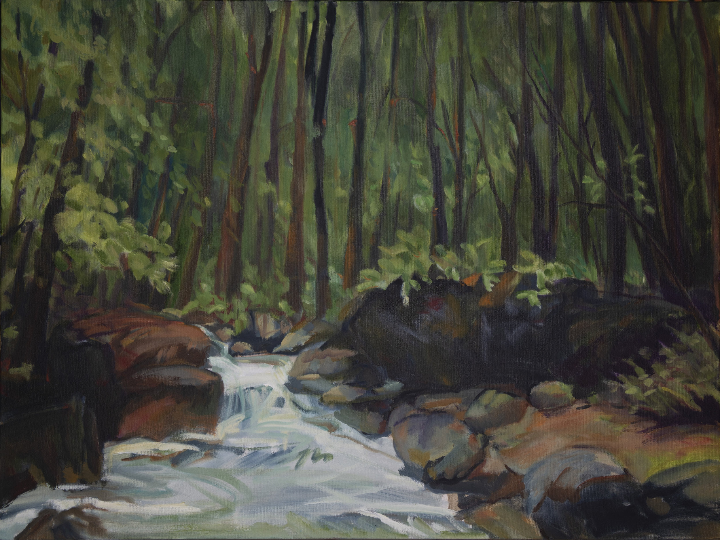 Deep Woods, Gill Brook _SM Sherman.JPG