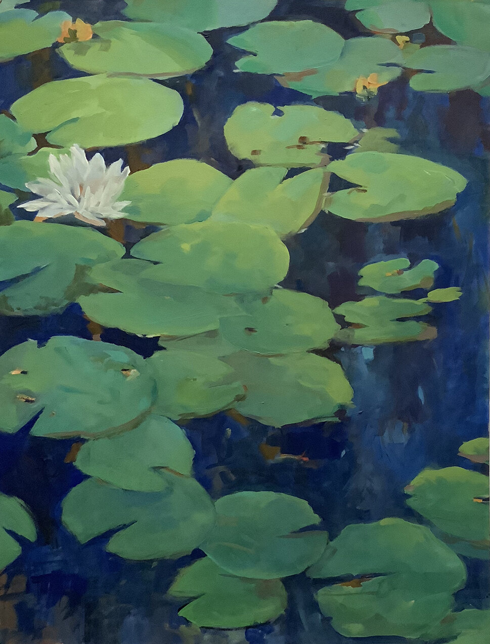  American Lotus 19 x 25 Oil on Ingres laid color paper $225 
