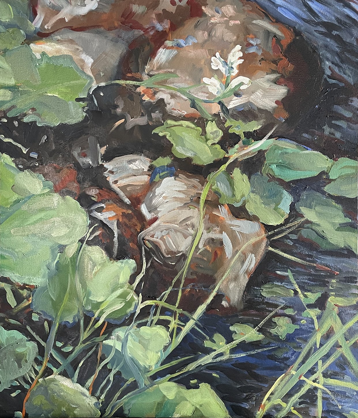 Turtlehead Blooms, Putnam Brook