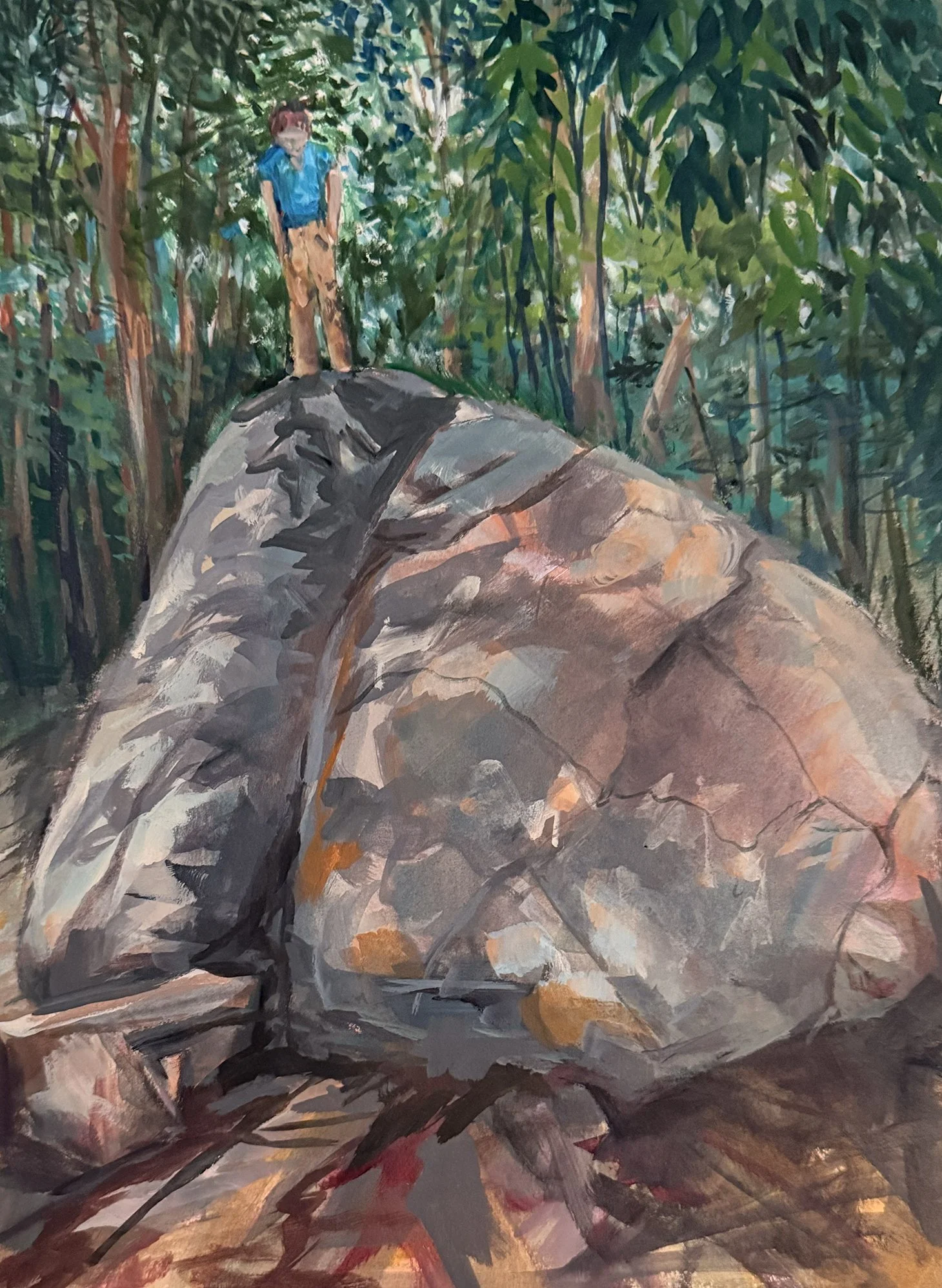 E. V. on Irratic, Adirondack Park, NY