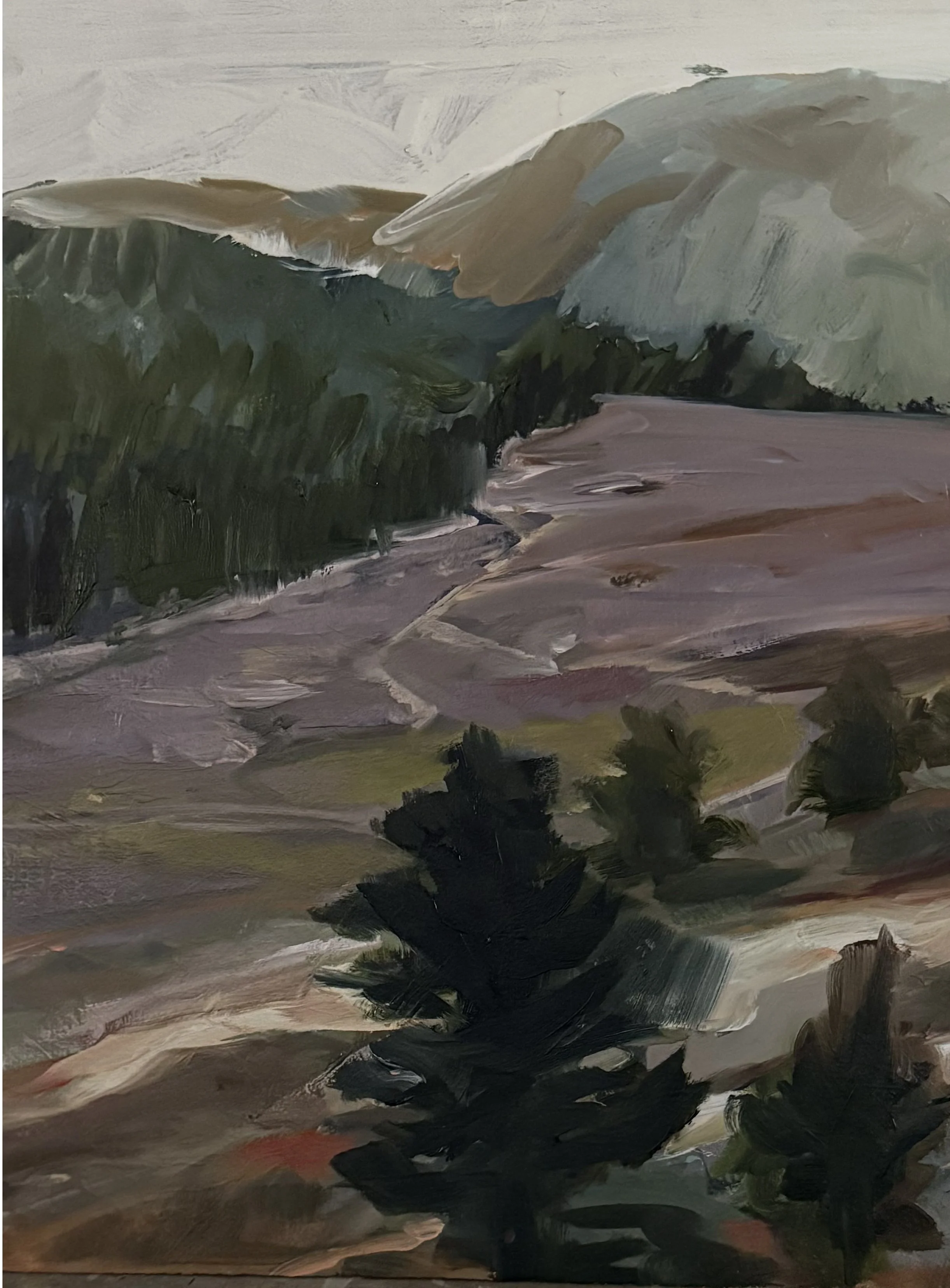 Forest Track