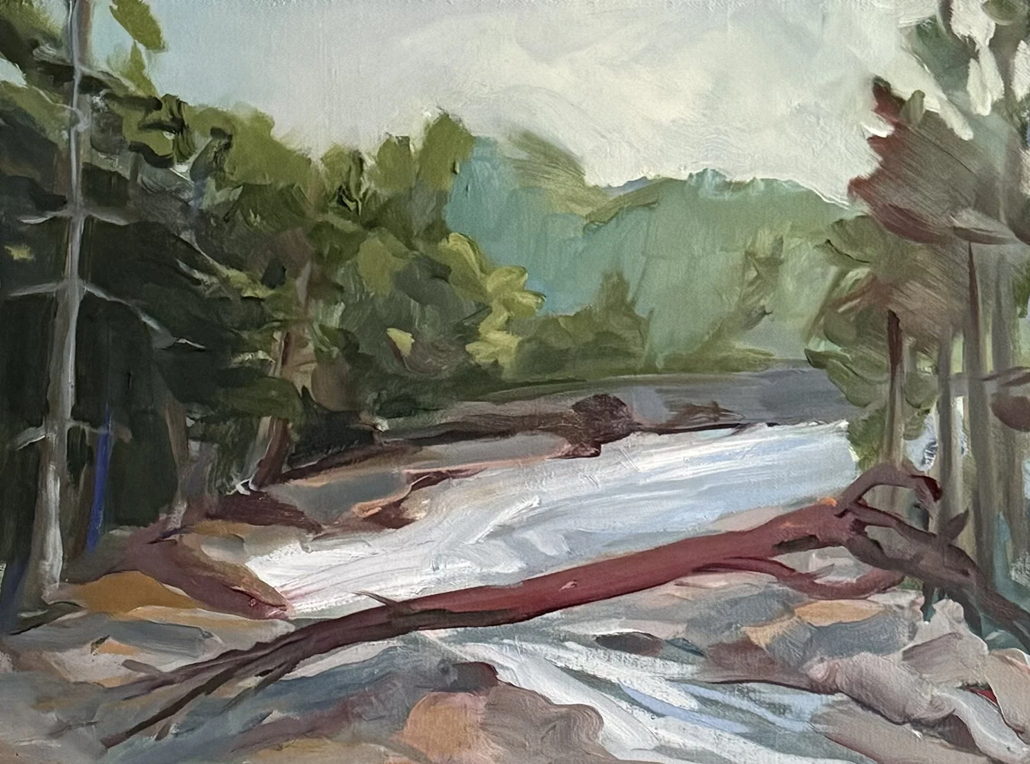 Fallen Tree, redux